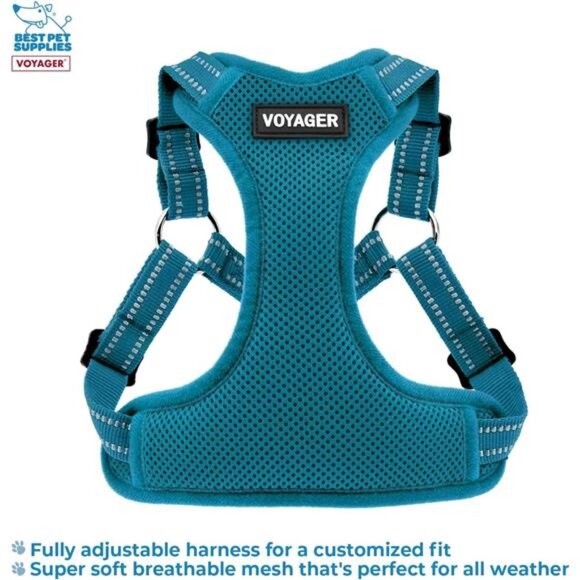 Pet Supplies Voyager Adjustable Dog Harness Leash Set with Reflective Stripes - Picture 2 of 7